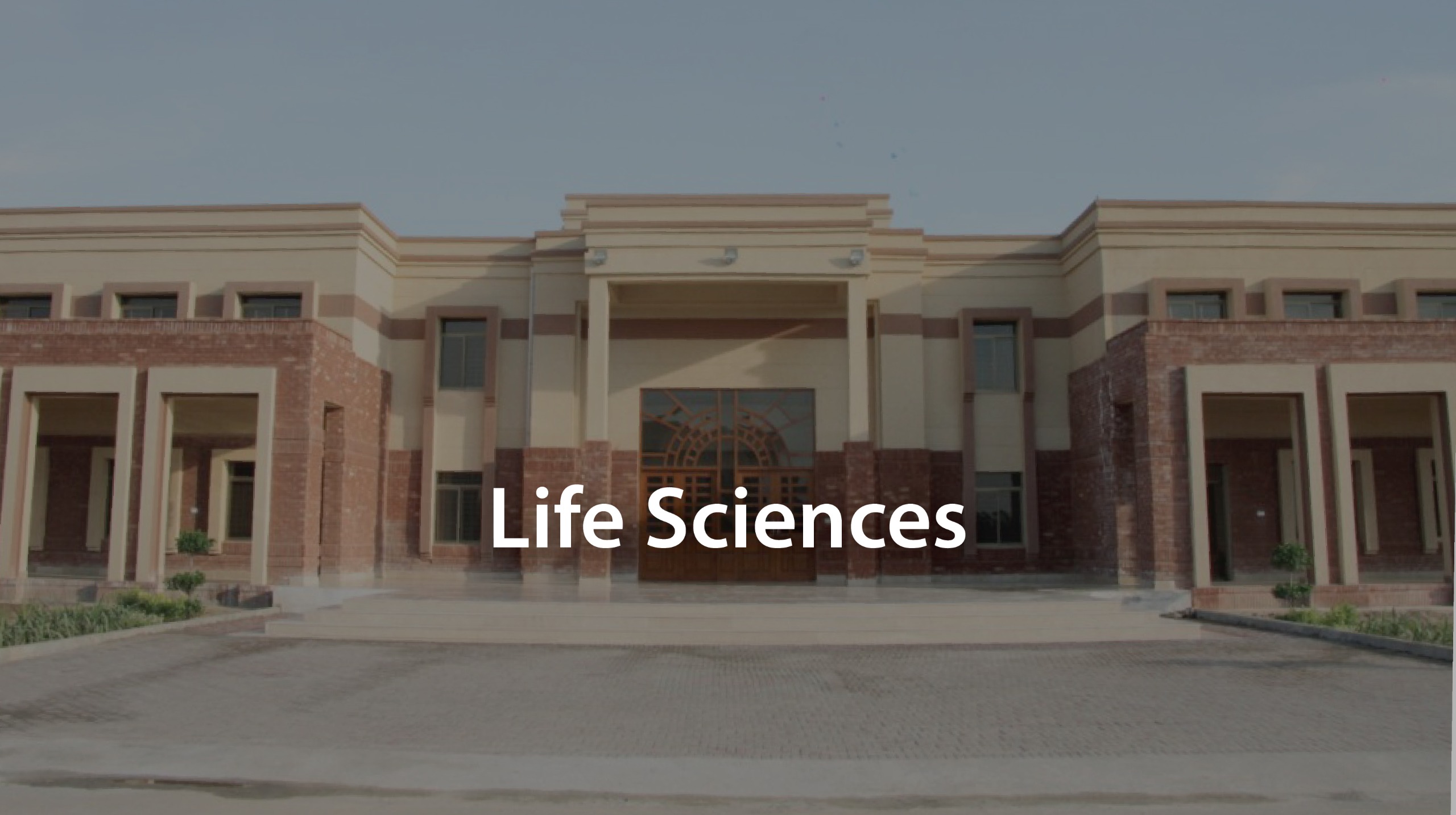 Life Sciences