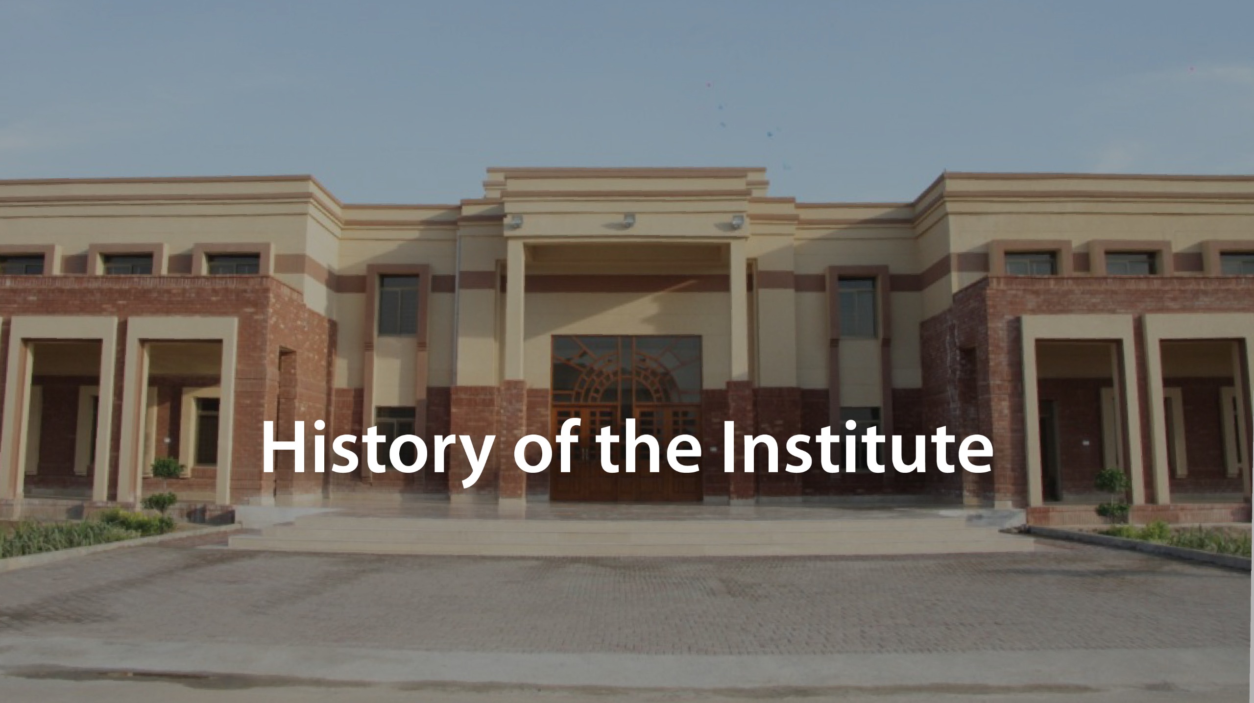 History of the Institute