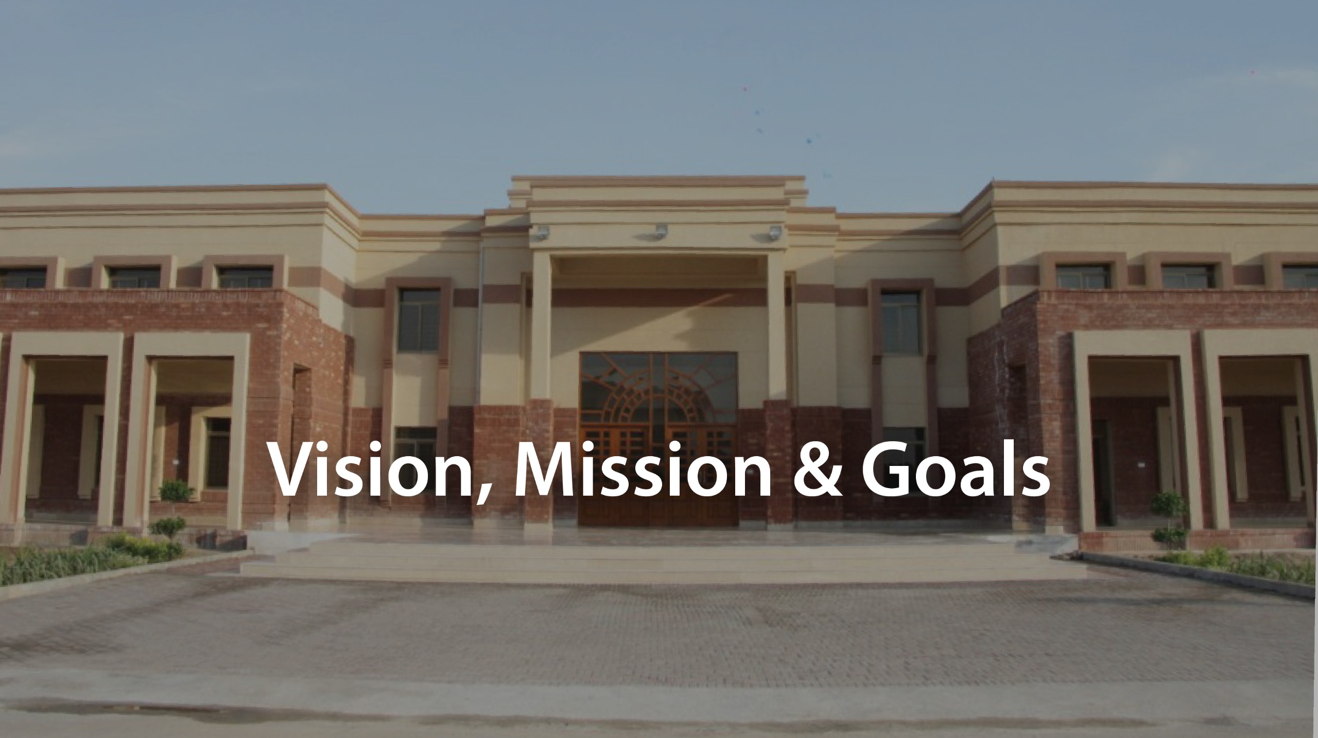 Vision, Mission & Goals